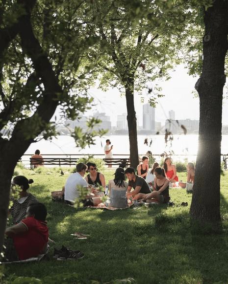 People enjoying an outdoor lunch in a park in the city.